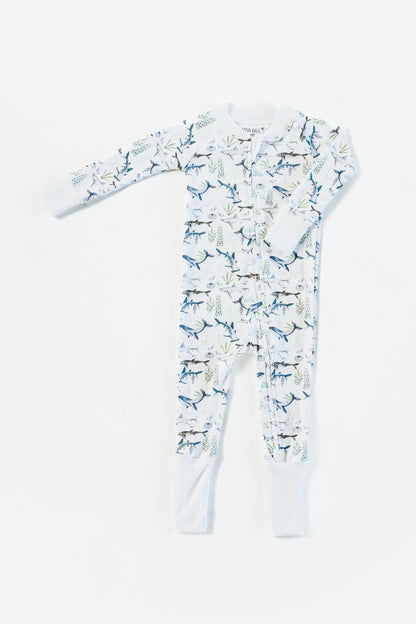 Ocean Zippy